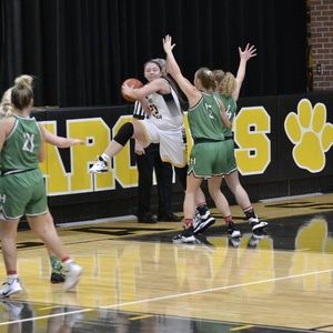 Meet your Posher, Baylee